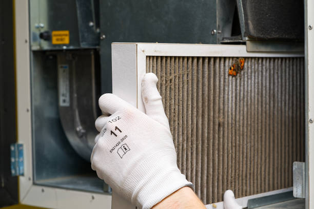 Best Affordable Duct Cleaning Services  in Basile, LA