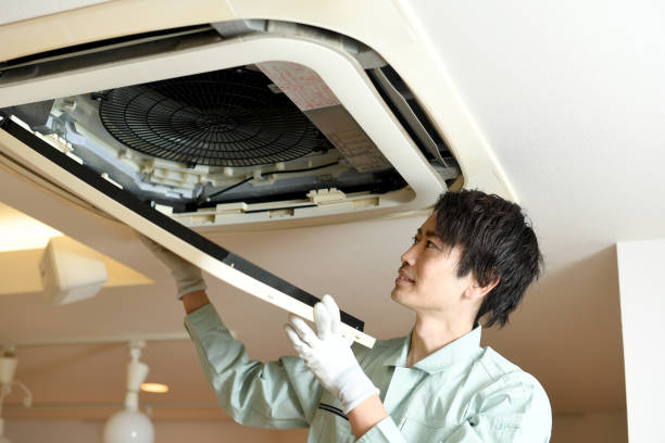Best Home Air Vent Cleaning  in Basile, LA