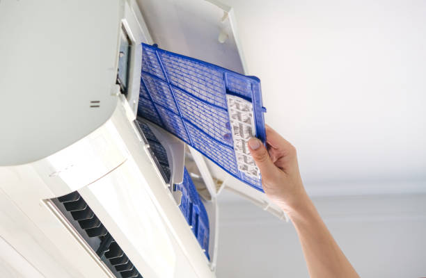 Best HVAC System Cleaning  in Basile, LA