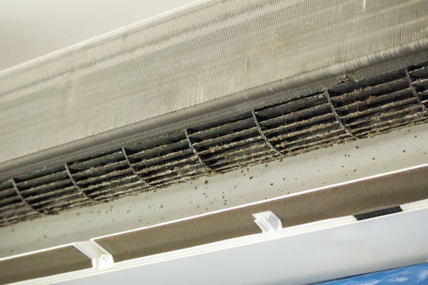 Best Professional Duct Cleaning Services  in Basile, LA