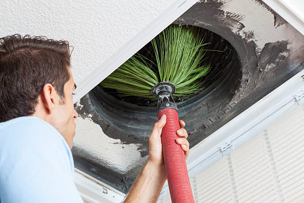 Best Duct Cleaning for Homes  in Basile, LA