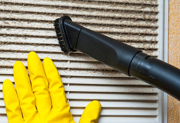 Best Air Duct Cleaning Near Me  in Basile, LA